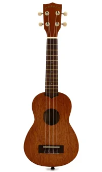 ukulele (1)